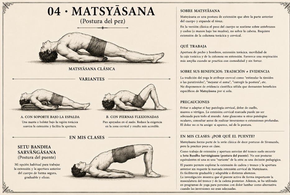 Matsyāsana clásica con tres variantes, y Setu Bandha Sarvāṅgāsana (postura del puente) con sus variantes y apoyos