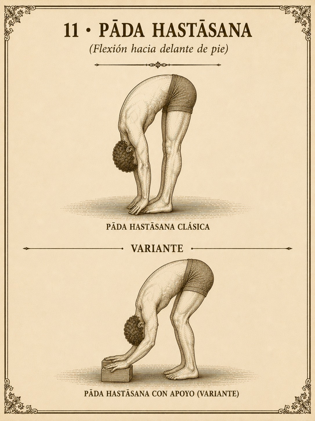 Pāda Hastāsana clásica (flexión de pie con las manos hacia el suelo) y su variante con las manos apoyadas en un bloque