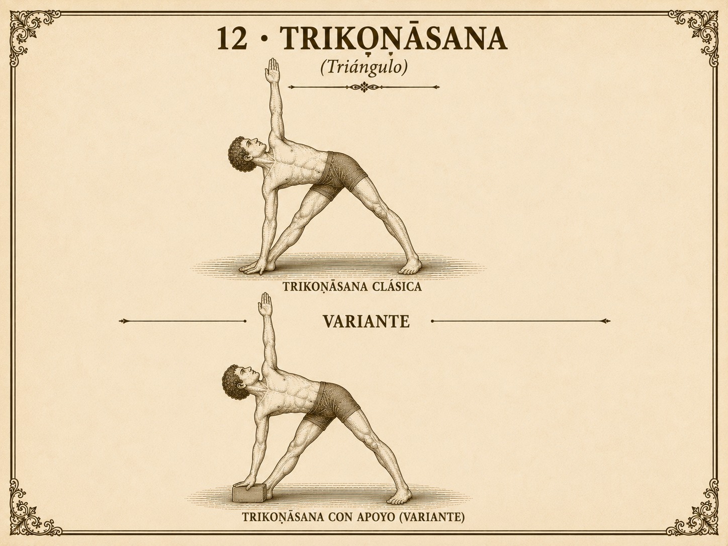 Trikoṇāsana clásica (triángulo de pie con una mano hacia el suelo y otra al cielo) y su variante con la mano apoyada en un bloque